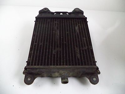 1980-83 Honda GL1100 Goldwing/80 81 82 GL 1100 Radiator 19010-463-003 ...
