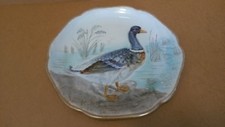 Rare assiette canard barbotine