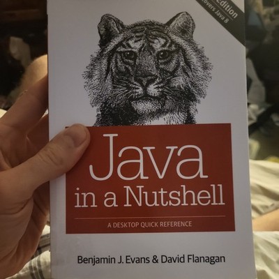 Java in a Nutshell : A Desktop Quick Reference by Benjamin J. Evans and David...