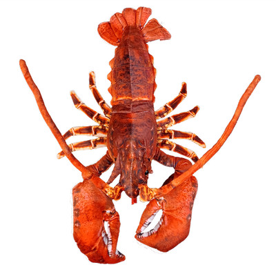 Lobster with Claws Ocean Plush (18'')