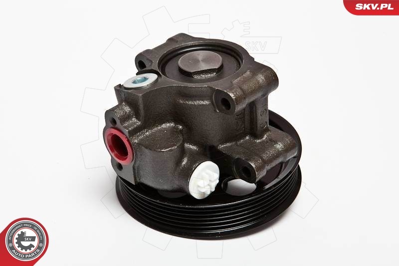 Fits SKV GERMANY 10SKV067 POWER STEERING PUMP