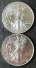 2019 and 2020 $1 American Silver Eagle Dollars