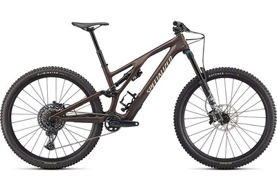 Specialized Stumpjumper Evo Comp  Satin Doppio / Sand S1
