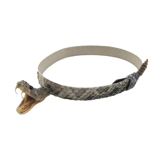 Real Rattlesnake Head Skin Western Cowboy Hat Band Wrap Genuine Snake