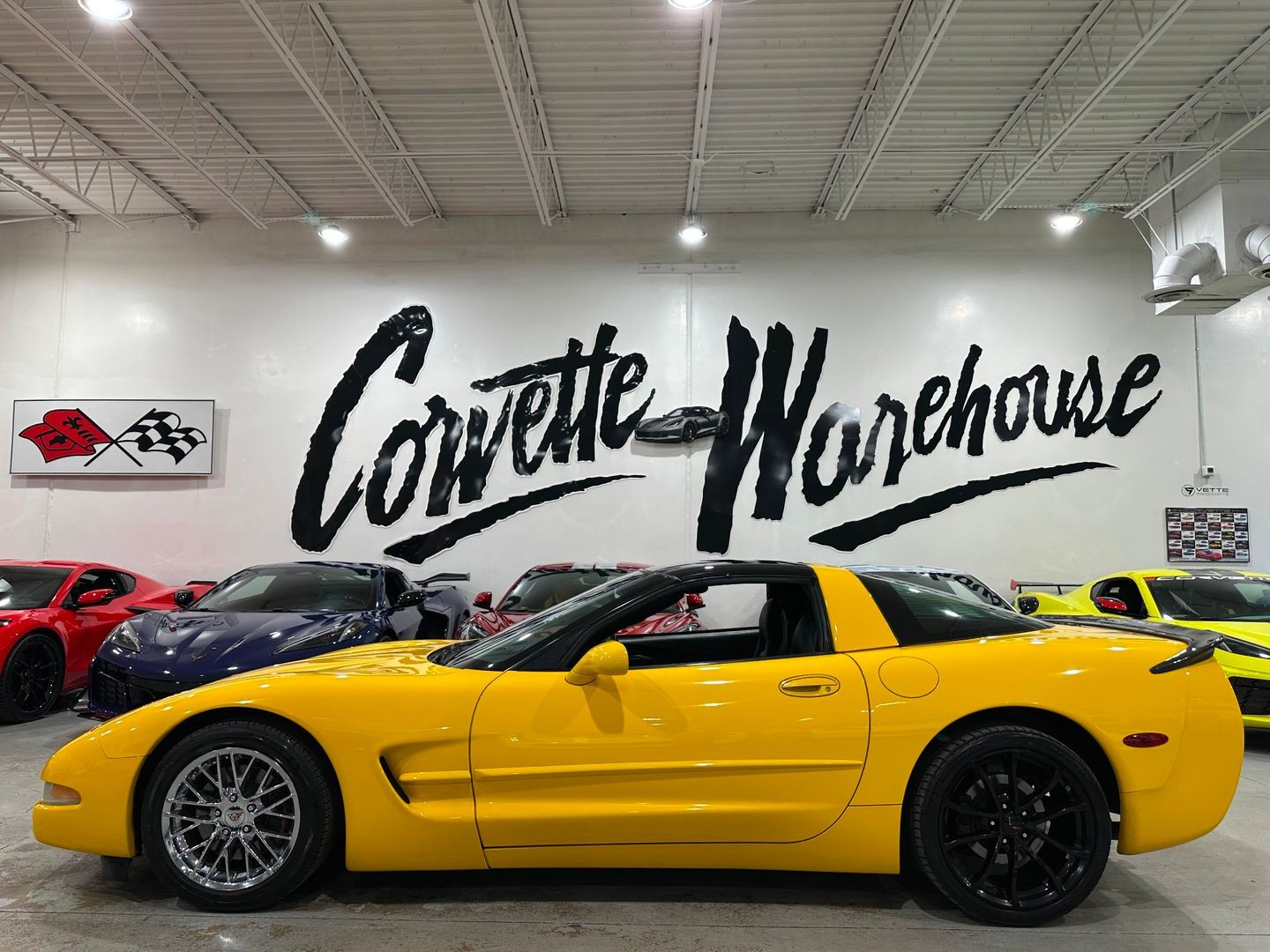 2004 [79U] Millennium Yellow Chevrolet Corvette   | C5 Corvette Photo 2