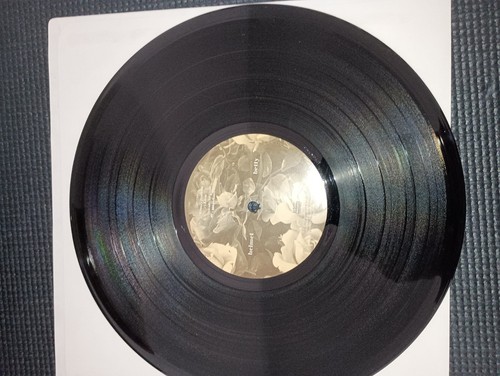 Helmet, Betty (Amphetamine Reptile Records AMREP 097) EX 2 10" - Rock Metal 1994 - Picture 9 of 24