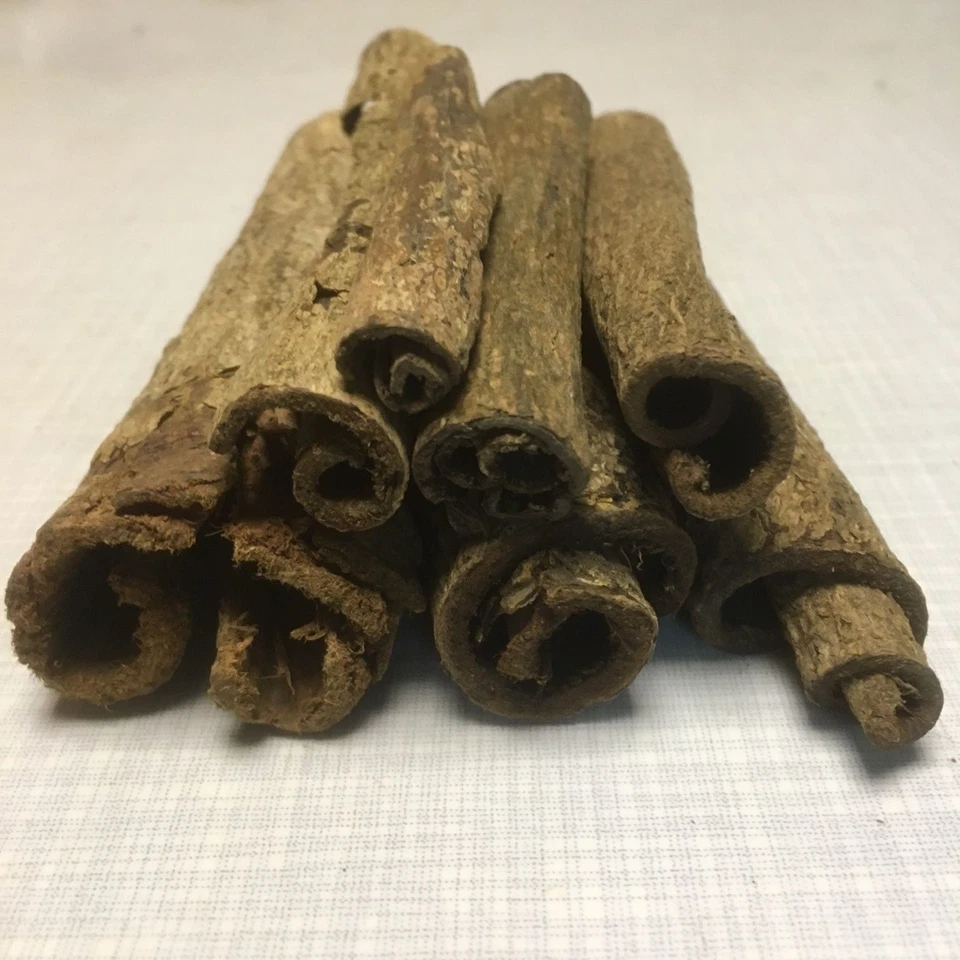 100gr Seemandelbaumrinden Rollen 1-3cmØ Höhle Versteck für Jungfische & Garnelen