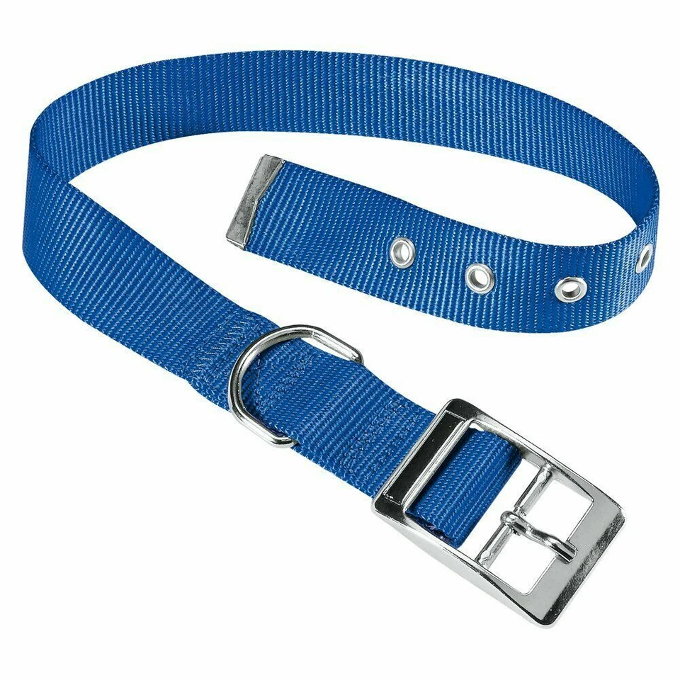 FERPLAST Collier nylon bleu Club CF 20/43 CHIEN MOYEN - Photo 1/1