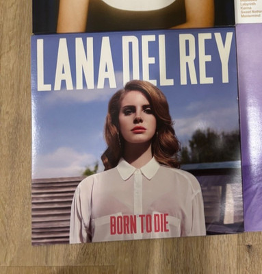 cd and vinyl lot