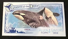 ORCA 2012 Topps Allen & Ginter Giants of the Deep Mini #GD-9