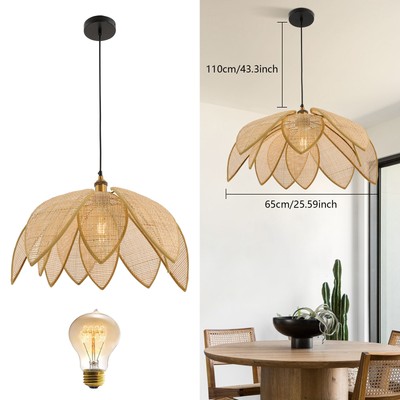 Iron Frame Hanging Light w/Adjustable Wire, Baking Paint, 60W Max 50cm