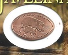 Laminated Card featuring Elongated Penny - JAVELINA — photo 2
