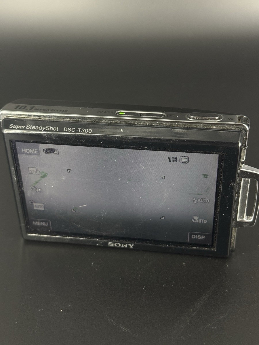 Sony Cyber-shot DSC-T300 10.1MP Digital Camera - Silver for