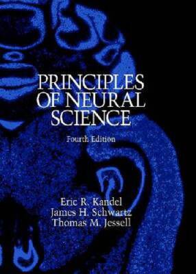 Principles of Neural Science - Hardcover By Eric R Kandel - GOOD