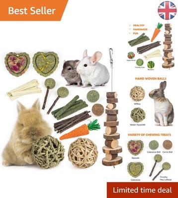 Komplettes 27-teiliges Kauspielzeug-Set für Kaninchen, Meerschweinchen und mehr - natürliche Pflege