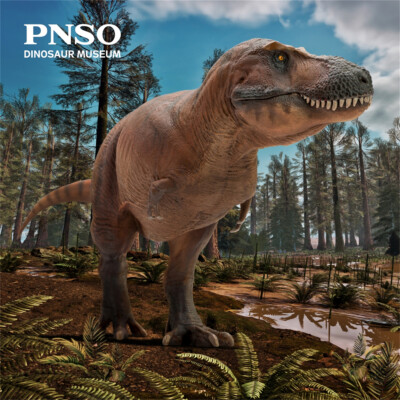 PNSO 1/35 Tyrannosaurus T-Rex with Skull Dinosaur Model Animal Figure Gift