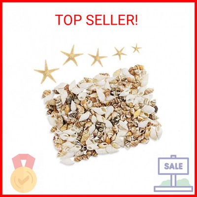 186 pcs Mini Tiny Sea Shells Mixed Ocean Beach Seashells, Natural Starfish for H