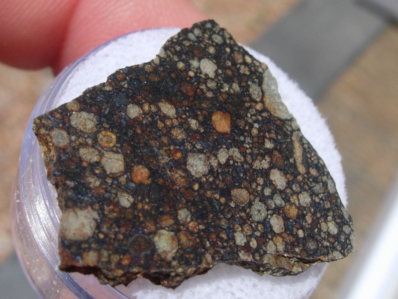 3 grams NWA 15662 Meteorite Ordinary chondrite (LL3) slice - with a COA