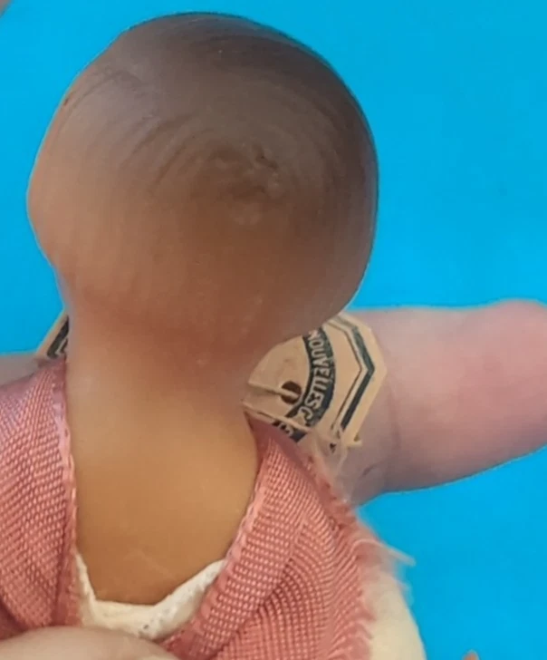 Poupée ancienne  Josette SNF en celluloïd  12 cm petite soeur de Françoise - Photo 4/4