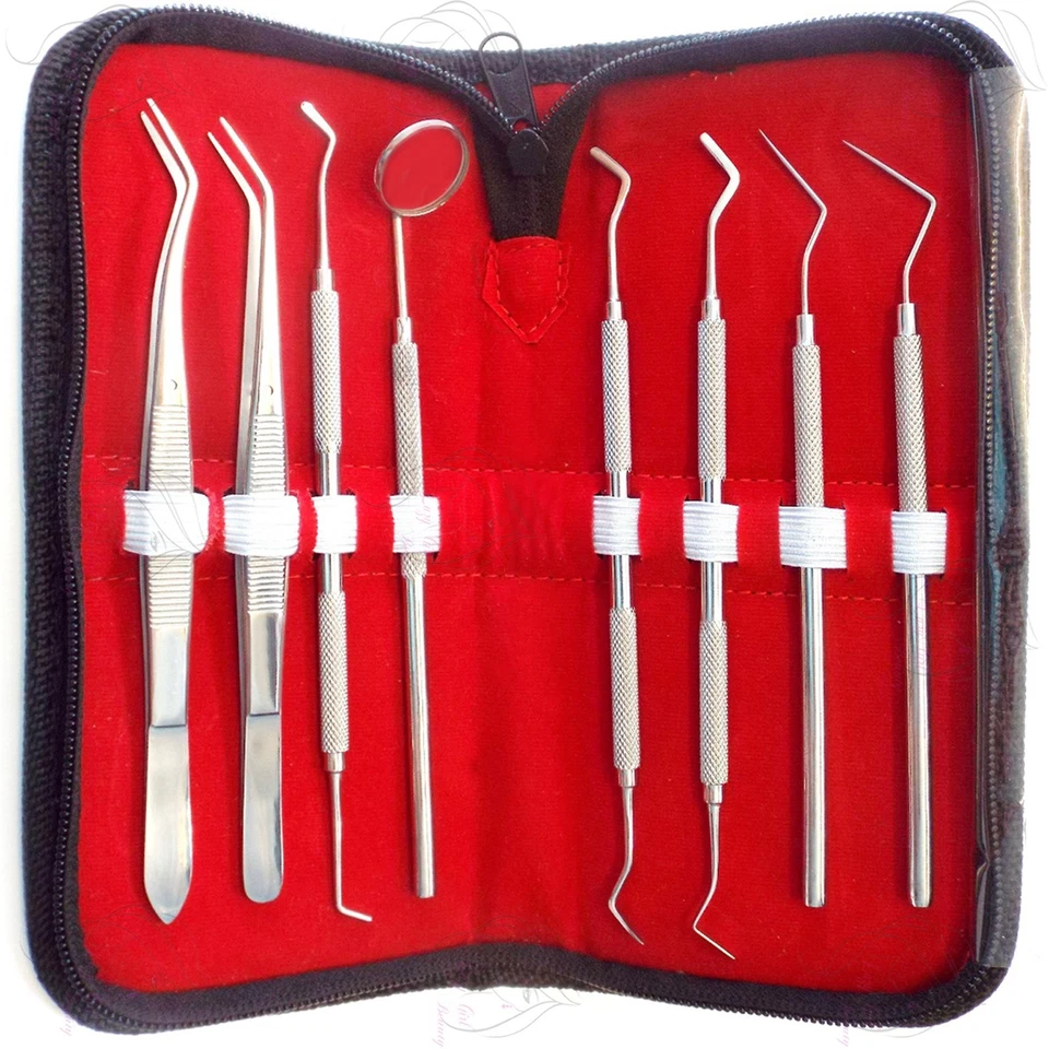 YNR ENGLAND PRO SET DENTAL DENTIST PICK TOOL KIT 8pcs + Leather Case Best Quality Best Deal