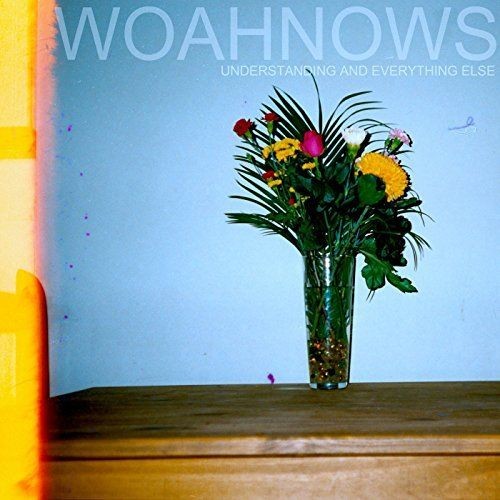 WOAHNOWS - UNDERSTANDING & EVERYTHIN NEW VINYL - Picture 1 of 1