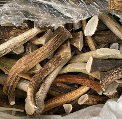 9'' Elk Antler Dog Chew   C Grade XL Natural Dog Treat or Craft Supply   2 Pieces