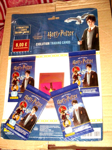 Choixpeau interactif Harry Potter - Officiel Noble Collection - RMC