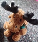 University of Alberta Moose — photo 3