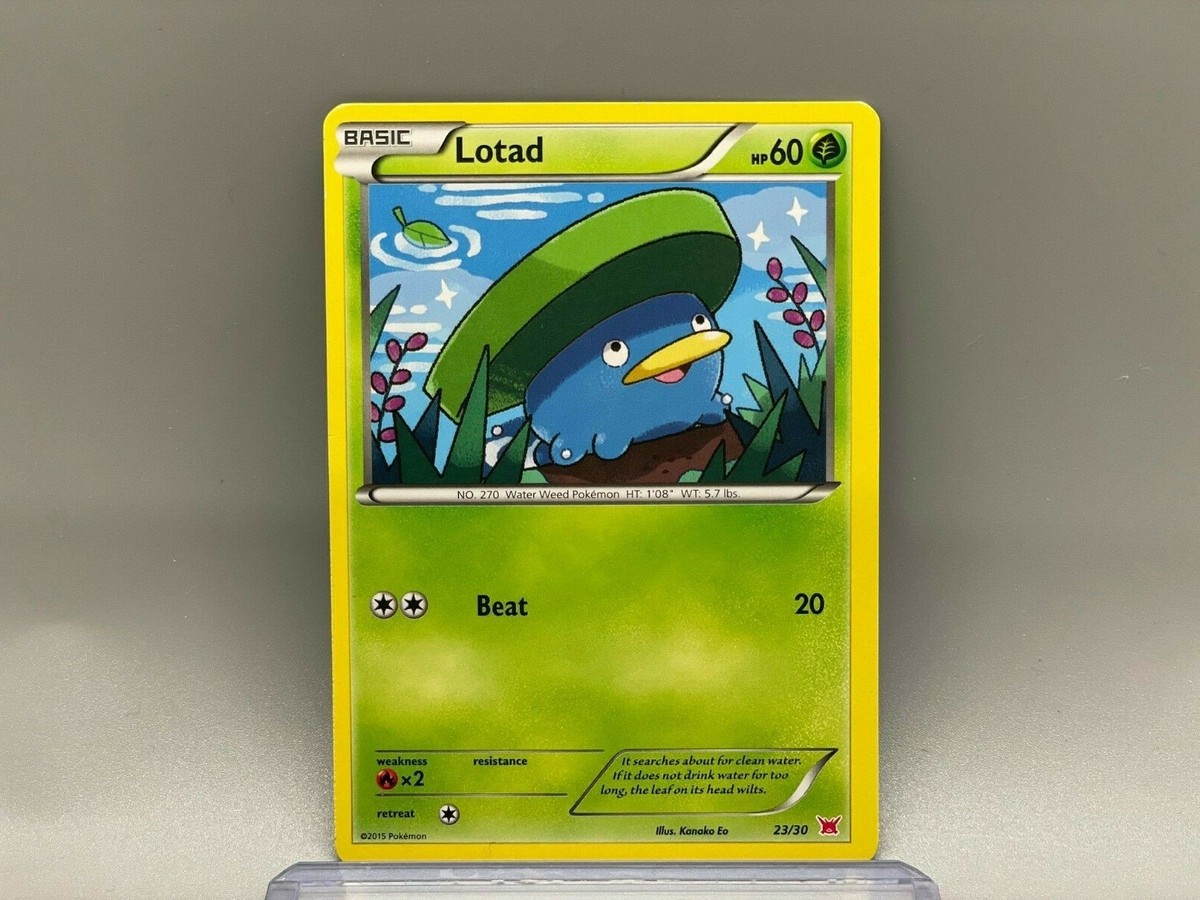Pokemon TCG Lotad 23/30 (Regular) | XY Latias Trainer Kit 2015