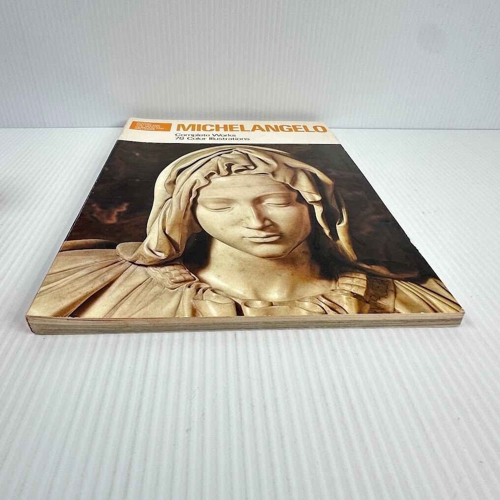 Michelangelo: Complete Works 78 Color Illustrations | eBay