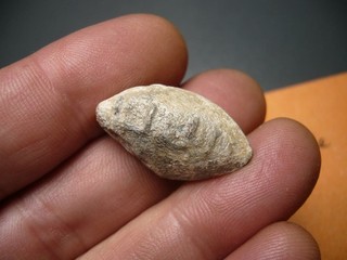 Schleuderblei mit Schrift PB 27 86 mm 25 53 g (CA6115)