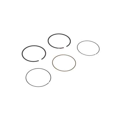 Briggs & Stratton 594437 Ring Set
