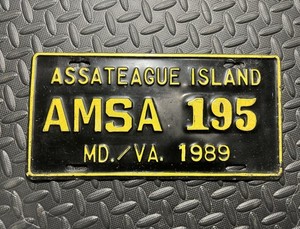 Vintage Maryland AND Virginia Assateague Island License Plate AMSA 1989 Ponies!