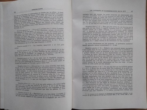 BULLETIN SOCIÉTÉ ETUDES INDOCHINOISES 1965 Ossements de DA BUT Vietnam Indochine - Foto 9 di 22