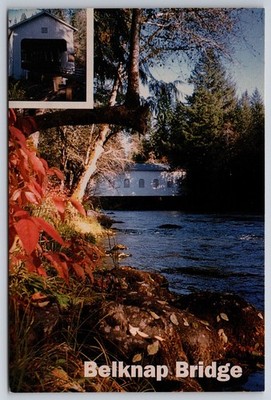 Vtg Postcard Belknap Bridge Oregon Covered Bridge Fall Colors River USA Unposted
