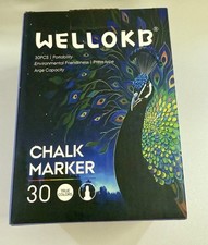 WELLOKB Chalk Marker Set 30pcs Multicolor YT6618 with Carry Case