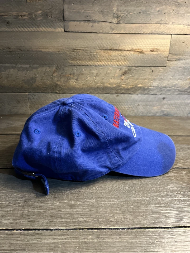 Gorra Chicago Cubs 2016 Liga Nacional Campeones Correa Ajustable 47 Marca Foto 4 de 4