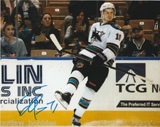 San Jose Sharks Daniil Tarasov Signed Autographed 8x10 NHL Photo COA BB