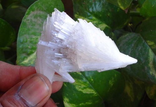 Scolecite Spray Minerals Specimen India - Picture 2 of 6