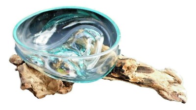 Wurzelholz Glas Schale Big S,Deko Schale Big S, Gamal big S,Wurzel Holz Liqva S
