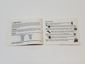 Kid Nikki Radical Ninja Authentic Original NES Nintendo Manual Only *damage