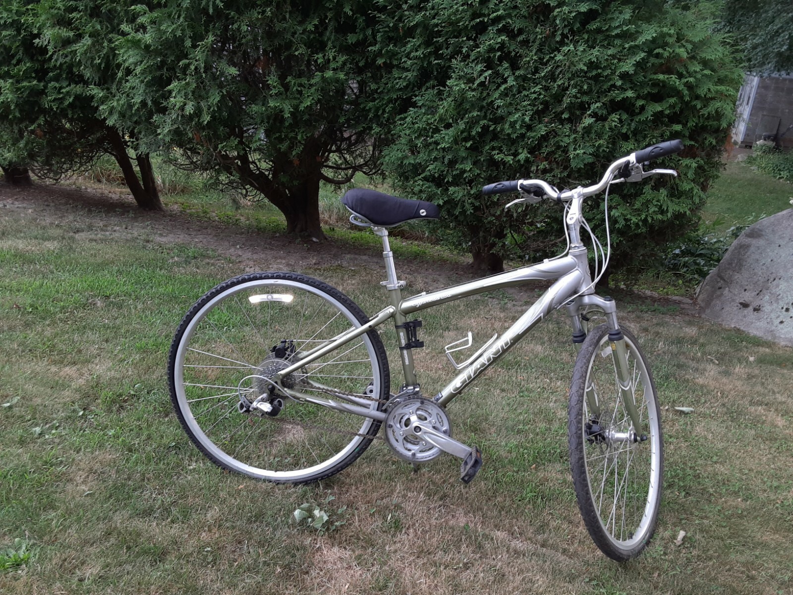 Giant Cypress 2014 Factory Sale, 54 