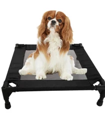 Pozico Elevated Dog Bed Raised Cooling Pet Cot Dogs Cats Breathable Mesh Small