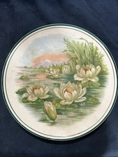 Vtg American China Co Toronto Ohio Water Lilies Pond Decor Display Plate 10”