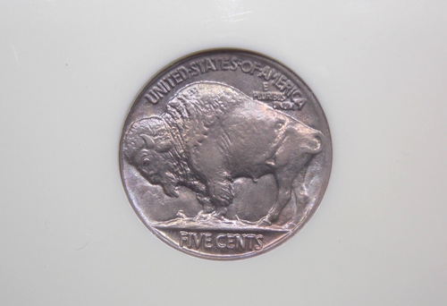 1923 "P" Indian Head BUFFALO Nickel 5c NGC MS64 #007 Unc BU ECC&C, Inc. - Picture 2 of 5