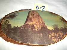 D-2 VTG Decoupage wood slice plaque Devils Tower Wyoming Live edge bark ...