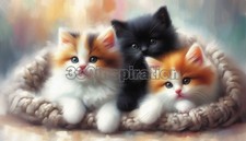Digital Image Picture Photo Wallpaper Background Desktop Art Cats Kittens A636
