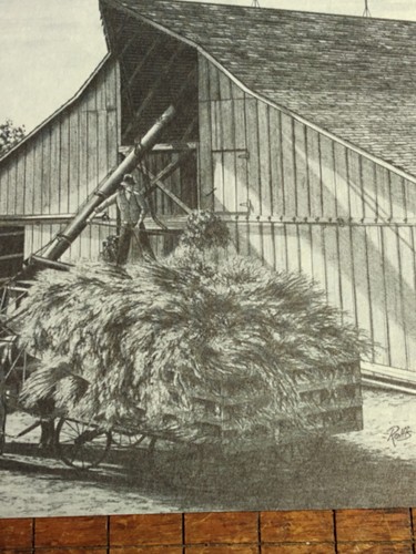 Postcard Remember Yesteryear Hay In The Barn - Picture 4 of 6
