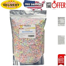 1 lb Resealable Bag of Crisp Vanilla Marshmallows - Perfect Topping for Desserts
