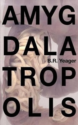 Edia Connole B R Yeager Amygdalatropolis (Paperback)